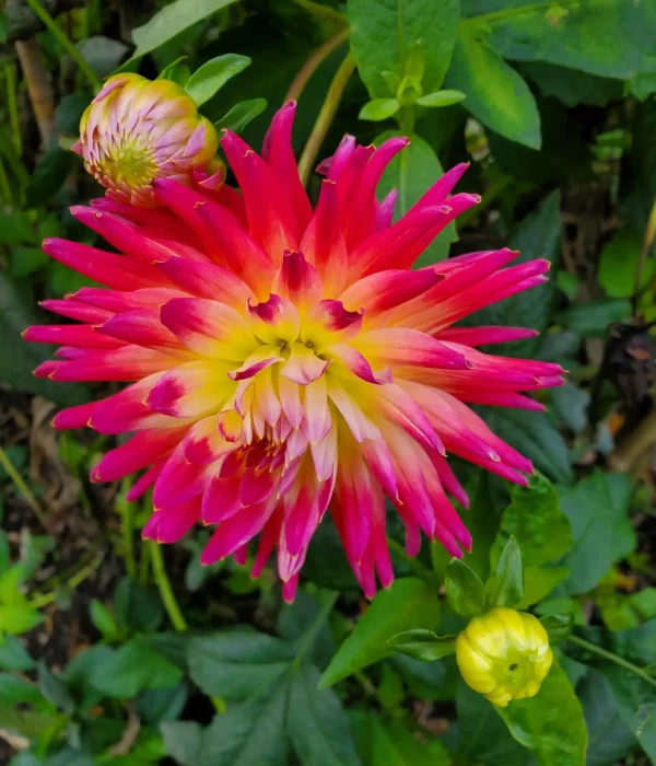 Octavia Kenny Craniosacral Therapy Glastonbury Somerset (9)